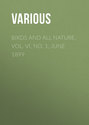 Birds and All Nature, Vol. VI, No. 1, June 1899